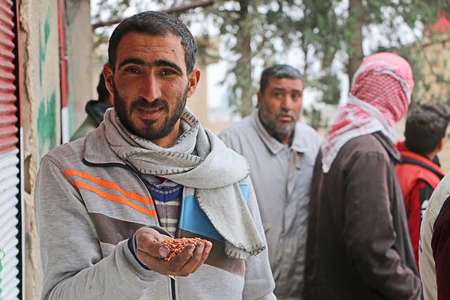 FAO and OCHA support 9 400 vulnerable farmers in northeast Syria to improve wheat production