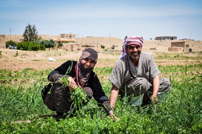 Government of Italy and UNDP, with FAO and UNFPA, have joined hands to boost resilience activities in South Eastern Deir ez-Zour governorate in Syria