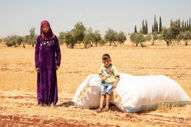 Syrian farmers face challenges preparing for the new season following poor harvest in 2020/21