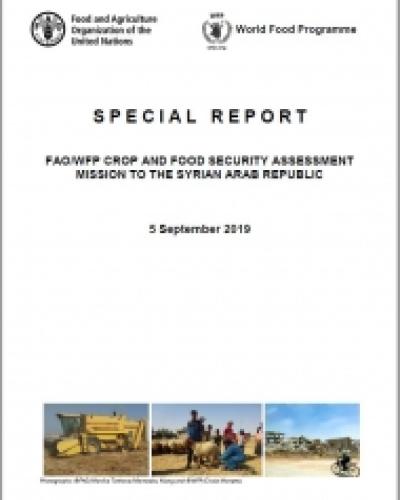 FAO/WFP REPORT 